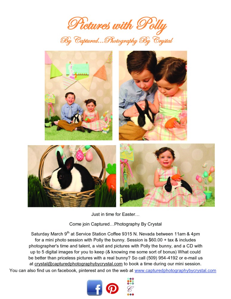 Polly flyer-pdf copy