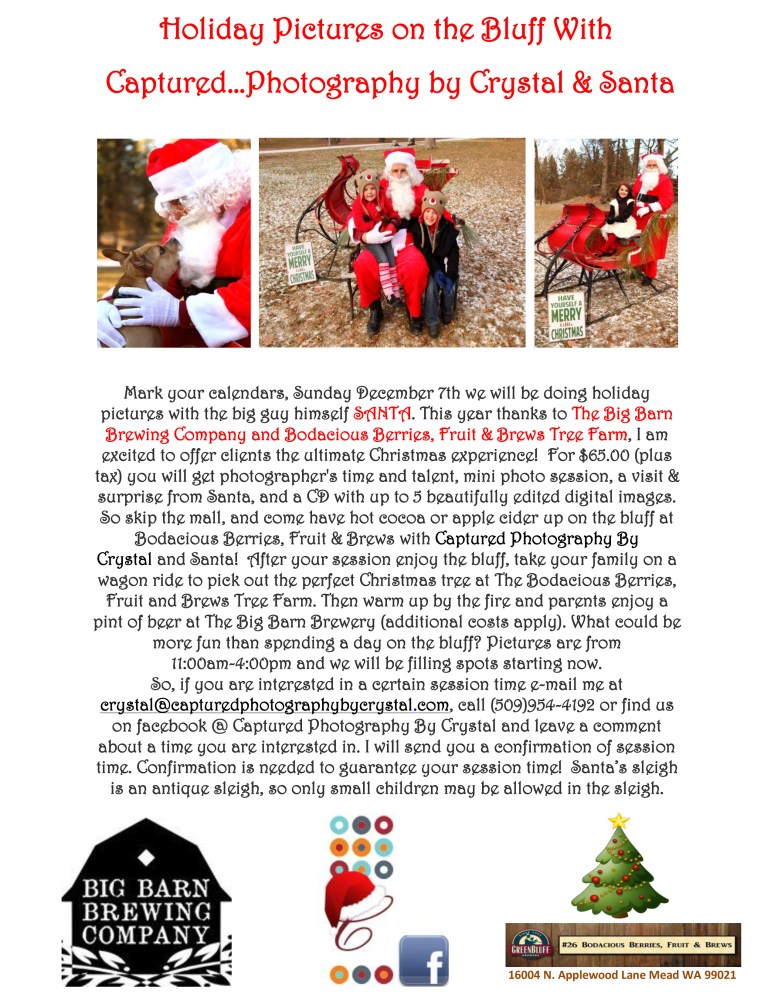 Holiday Pictures in the Park with 2014 Final copy